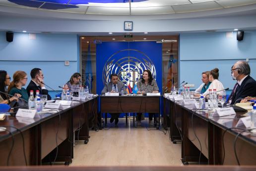 Final report on the humanitarian Inter-Agency Response 