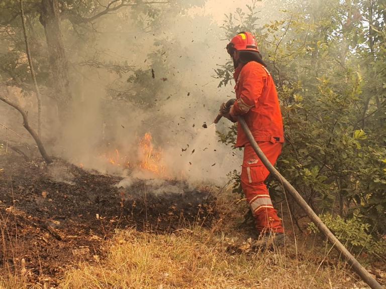 a firefighter with red uniform in action to put out a fire