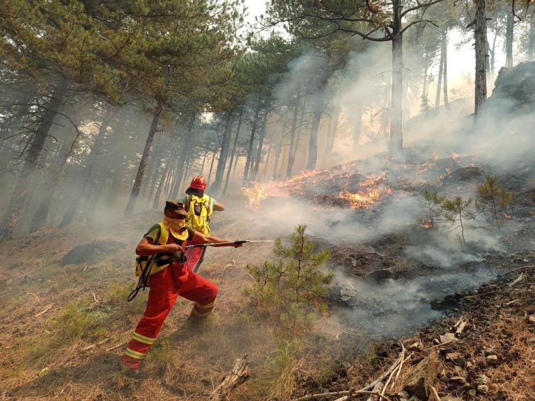 firefighters